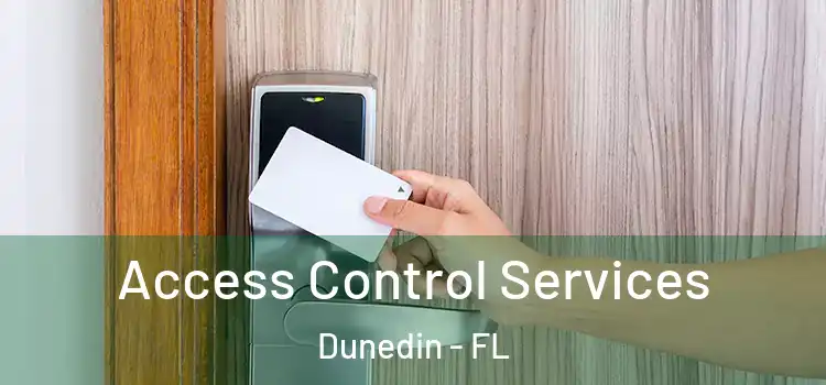 Access Control Services Dunedin - FL