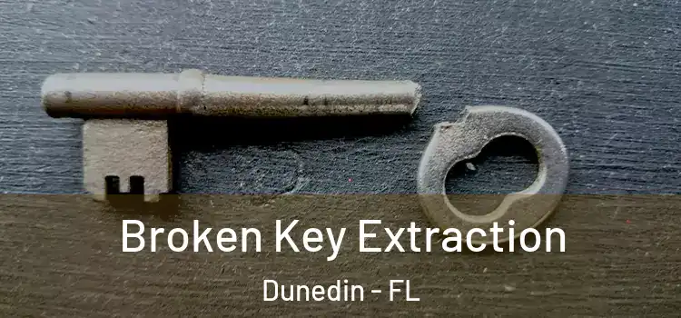 Broken Key Extraction Dunedin - FL