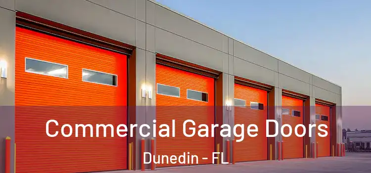  Commercial Garage Doors Dunedin - FL
