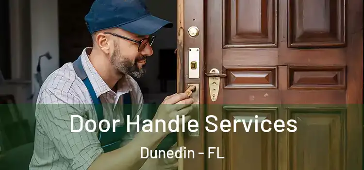 Door Handle Services Dunedin - FL