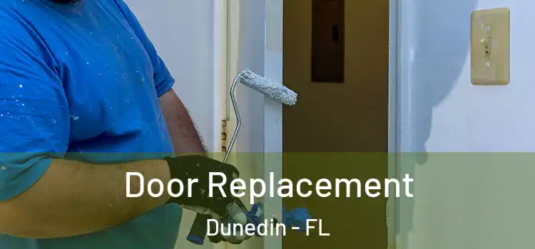 Door Replacement Dunedin - FL