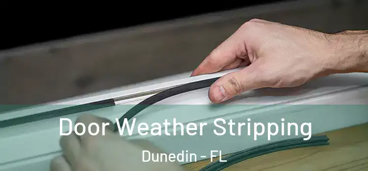  Door Weather Stripping Dunedin - FL