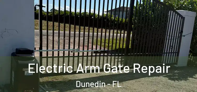 Electric Arm Gate Repair Dunedin - FL