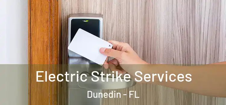 Electric Strike Services Dunedin - FL
