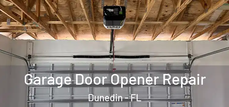  Garage Door Opener Repair Dunedin - FL