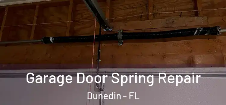  Garage Door Spring Repair Dunedin - FL