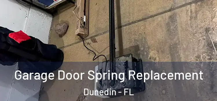  Garage Door Spring Replacement Dunedin - FL