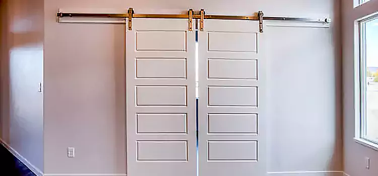 Glass Barn Door with Installation Hardware Kit Dunedin