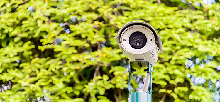 Advanced Surveillance Solutions for Every Need in Dunedin
