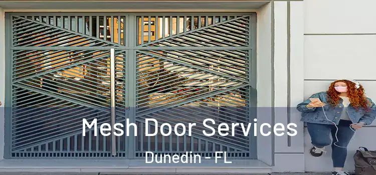 Mesh Door Services Dunedin - FL