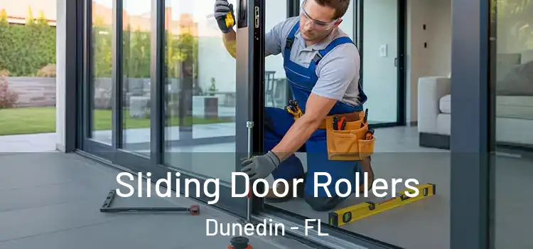 Sliding Door Rollers Dunedin - FL
