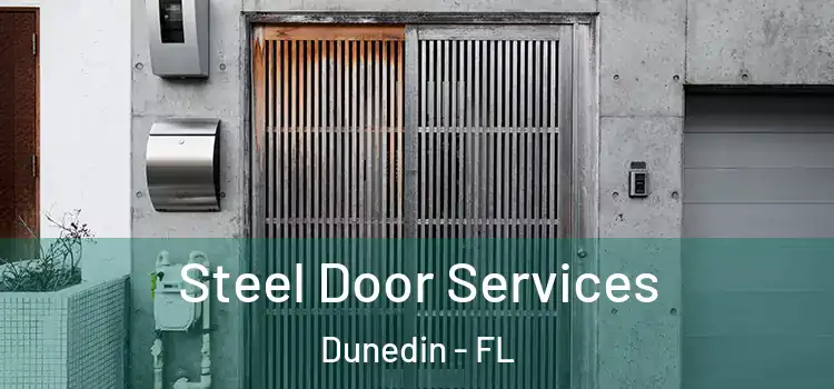 Steel Door Services Dunedin - FL
